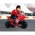 Picture of Ducati Desmosedici Rider 6V