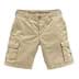 Picture of Triumph - Sand Chino Shorts
