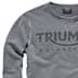 Picture of Triumph - Herren Sweatshirt
