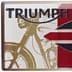 Picture of Triumph - Denim/Flag Pin Badge