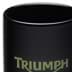 Bild von Triumph - Logo Kaffeebecher (Schwarz/Grün)