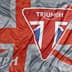 Picture of Triumph - Flagge