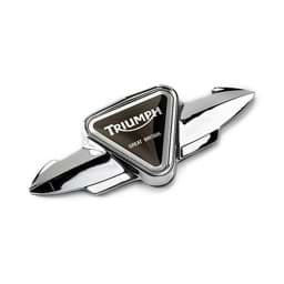 Bild von Triumph Triangel Logo Sissy Bar