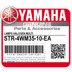Picture of Yamaha Passing Lamp